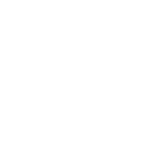 Fiducia Boss logo